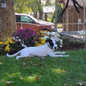 Meet your Posher, Cindy